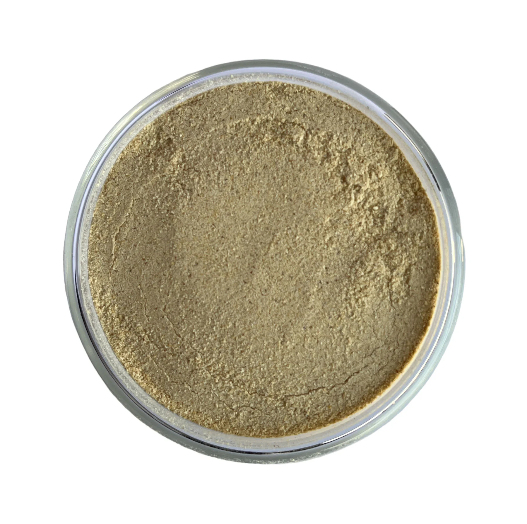 Cassia Tora Meal in Jaipur