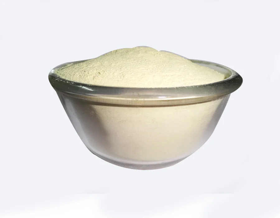 Guar Gum Powder in Raipur