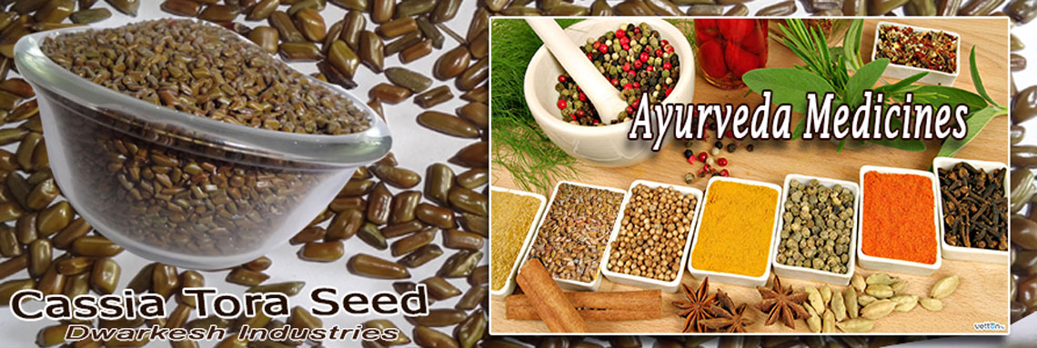 cassia-tora-seed